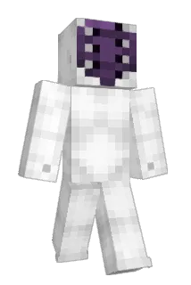 WomenPie Minecraft avatar full body