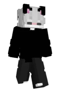 Won0Ton Minecraft avatar full body