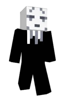 WonTongSoup Minecraft avatar full body