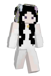 WonderAffect Minecraft avatar full body