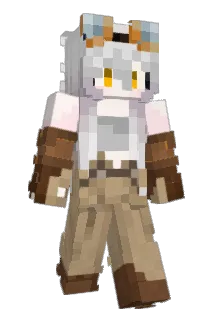 WonderNS Minecraft avatar full body