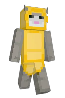 Wonderinoo Minecraft avatar full body