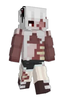 Wonderrgirl Minecraft avatar full body