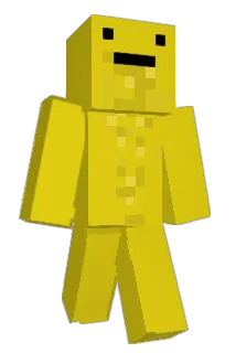 Wonk0 Minecraft avatar full body