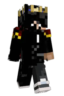 Woo1n Minecraft avatar full body