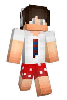 WoodyAdventure Minecraft avatar full body