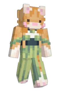 WoofCatYT Minecraft avatar full body