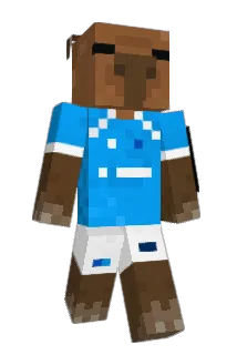Woojan2014 Minecraft avatar full body
