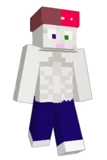 WooklandLord Minecraft avatar full body