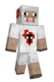 Woolson Minecraft avatar full body
