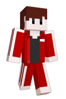 Wooniji Minecraft avatar full body