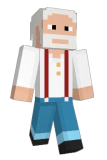 Woonn Minecraft avatar full body