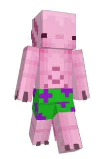 Woonwik Minecraft avatar full body