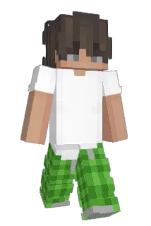 Wooxi8 Minecraft avatar full body