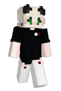 Worap Minecraft avatar full body