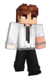 Worlite Minecraft avatar full body