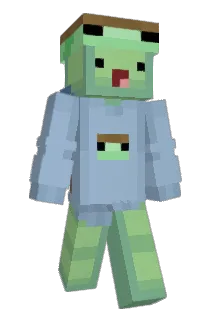 WornTurtle02649 Minecraft avatar full body