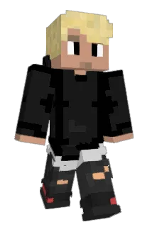 WouterNap Minecraft avatar full body