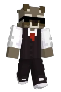 Wpaz123 Minecraft avatar full body