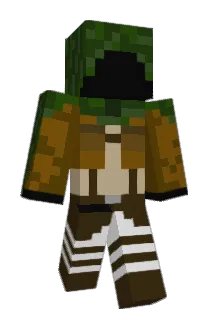 Wren_M3 Minecraft avatar full body