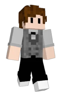 Wridde Minecraft avatar full body