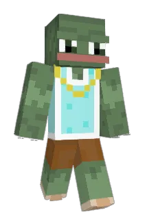 WrinklySkinFlap Minecraft avatar full body