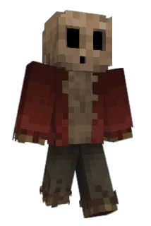 Wroclaw_ Minecraft avatar full body