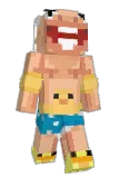 Wrofis Minecraft avatar full body
