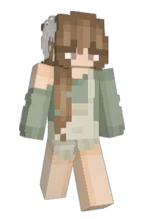 Wrongen Minecraft avatar full body