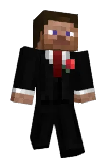Wsg28 Minecraft avatar full body