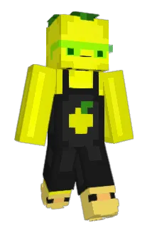 Wt3 Minecraft avatar full body