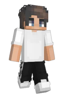 Wt3p Minecraft avatar full body