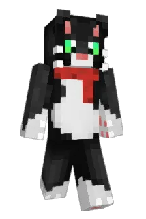 Wt737 Minecraft avatar full body