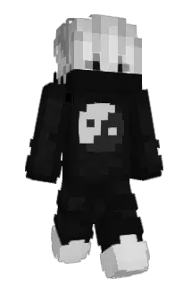 WtfKapii13 Minecraft avatar full body