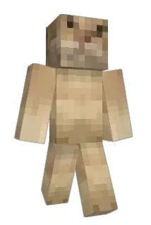 WtmSlsd Minecraft avatar full body