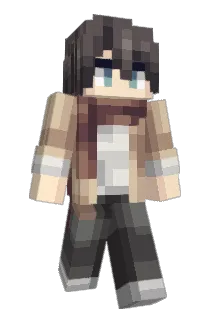 WuShang23 Minecraft avatar full body