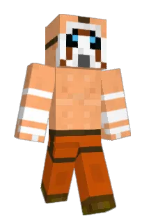 Wujt12 Minecraft avatar full body