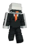 Wustin1111 Minecraft avatar full body