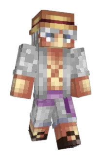 Wxbl Minecraft avatar full body