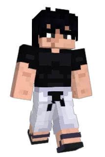 Wxll__ Minecraft avatar full body