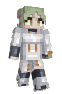 WynautExplain Minecraft avatar full body