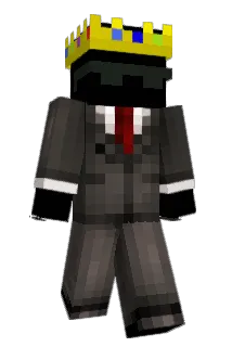 Wynner808 Minecraft avatar full body