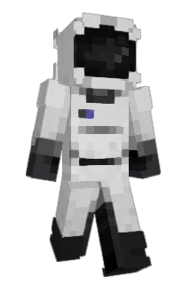 Wynsella Minecraft avatar full body