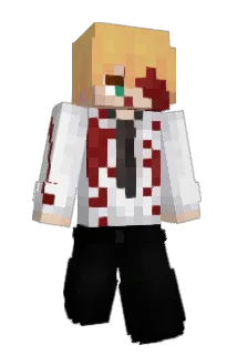 Wynsr Minecraft avatar full body