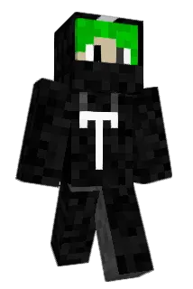 X1Turtle Minecraft avatar full body