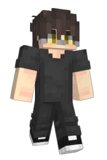 X6V01 Minecraft avatar full body