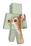 X Minecraft avatar full body