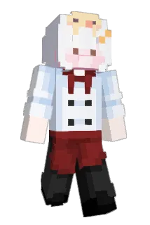 XD333 Minecraft avatar full body