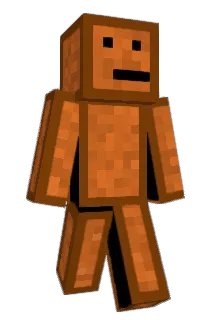 XDFlan Minecraft avatar full body