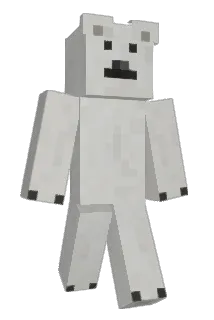 XEL8o9 Minecraft avatar full body